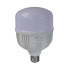LED лампа Т100  30Вт E27 6500К 2700 Лм 165-265 В