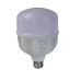 LED лампа Т100  30Вт E27 6500К 2700 Лм 165-265 В