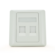 Рамка 86х86 під 2 модуля Keystone Jack RJ-45 кат.5e UTP, 2-port Q100