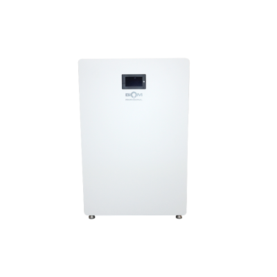 Акумуляторна батарея Biom Professional 48В (51.2В) BALFP-512200-V1 10кВтч