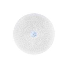 Світлодіодний світильник потолочний RADIUS-36