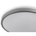 RING матовий 60W 395*60мм 3000К-6500К з ДК срібний