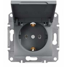 Розетка с заземлением с крышкой сталь Schneider Asfora EPH3100162