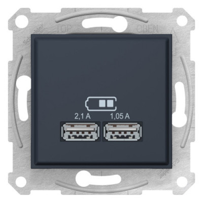 USB розетка Schneider SDN2710270 Sedna графит
